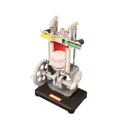 Gasoline Engine Model for school internal combustion engine model Four-stroke single cylinder physical experimental equipment