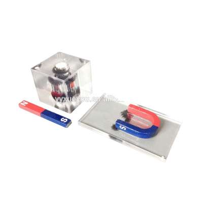 Magnetic Field Demonstrator/school physics laboratory / physics experiment